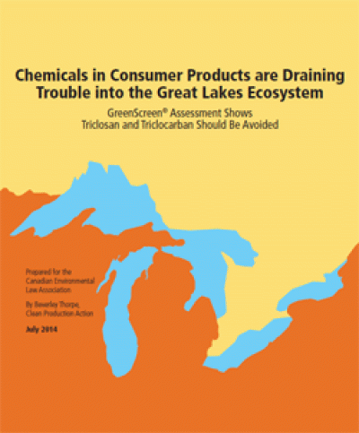 Chemicals in Consumer Products are Draining Trouble into the Great Lakes Ecosystem