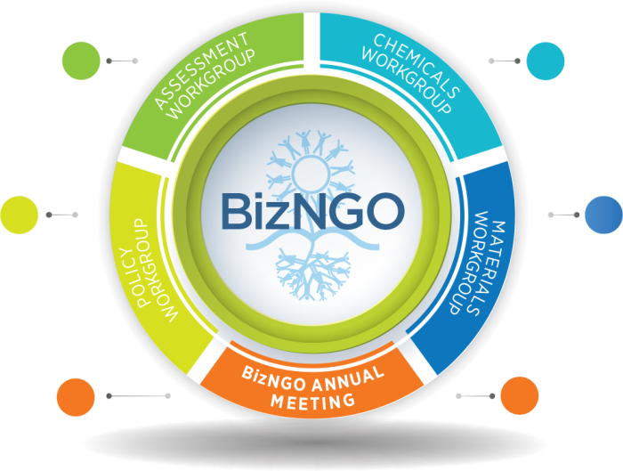 bizngo-infographic.png