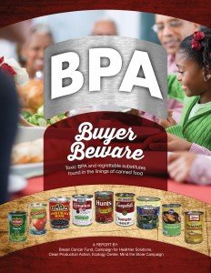 BPA_BuyerBewareCOVERResized.jpg