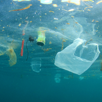 ocean-plastic-pollution.png